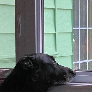 Meet your Posher, Chelsea